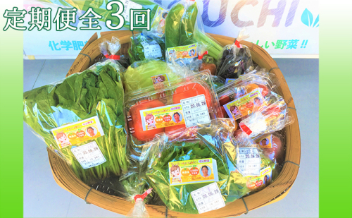 『定期便』【栽培期間中化学肥料・農薬不使用】季節野菜の詰め合わせ全3回 135485 - 岐阜県輪之内町