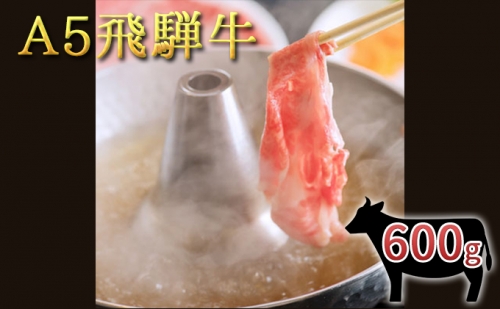 A5 飛騨牛モモしゃぶすき用スライス 600g 135490 - 岐阜県輪之内町