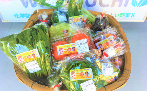 【化学肥料・農薬不使用なので安心・安全】季節の新鮮野菜の詰め合わせ 135500 - 岐阜県輪之内町