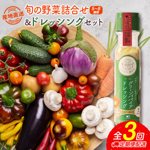 産地直送！旬の野菜（5～8種類）＆ドレッシング セット 3か月定期便 おまかせ 詰合せ 宮崎県新富町産【E213】 1355427 - 宮崎県新富町