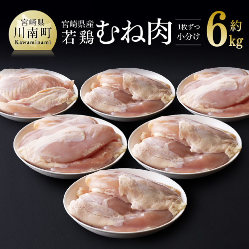 1枚ずつの小分けがうれしい!宮崎県産 若鶏 むね肉 約6kg 【 肉 鶏肉 精肉 】 135741 - 宮崎県川南町