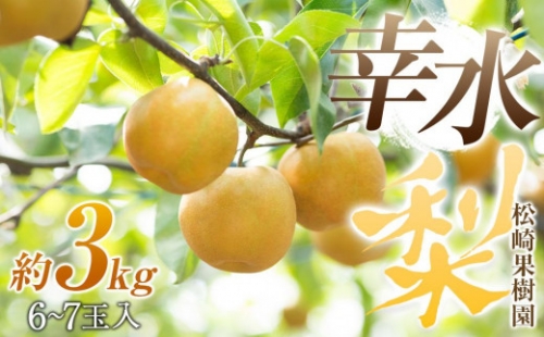 梨「幸水」約3kg（6～7玉入）【松崎果樹園】 1358681 - 宮城県角田市