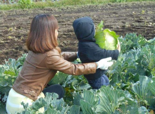 無農薬農家の農業体験 ランチ付き 13595 - 宮崎県綾町