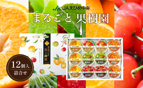 NO.12まるごと果樹園詰合せ 1359709 - 愛媛県東温市