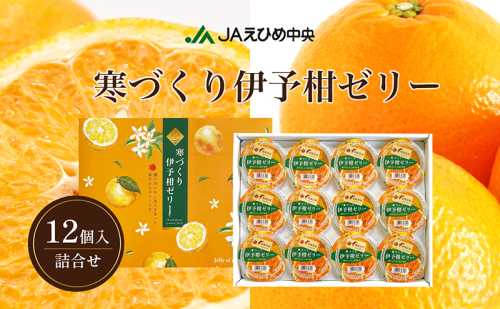 NO.18寒づくり伊予柑詰合せ 1359711 - 愛媛県東温市