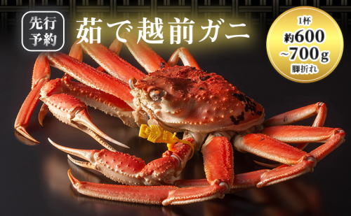 【年明け出荷】【訳あり】 茹で越前ガニ【期間限定】 約600g～700g未満×1杯 脚折れ 蟹 かに 越前がに 越前ガニ ズワイガニ ずわい蟹 ずわいがに 魚介 魚介類 海鮮 訳アリ 福井県 福井  1359875 - 福井県若狭町