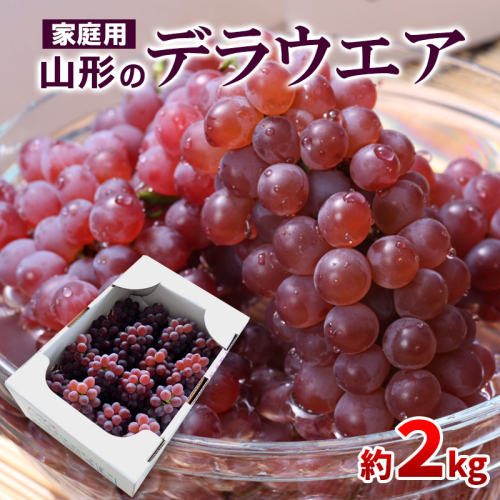 【ご家庭用】山形のデラウエア M～3L 約2kg(9～20房) [粒サイズおまかせ]【令和7年産先行予約】 FS24-137 1360041 - 山形県山形市