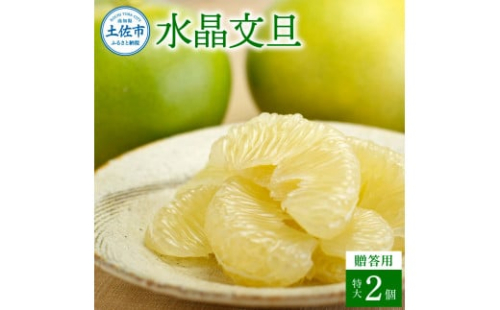 水晶文旦 特選ご贈答用 特大 約1.5kg（2個入） ぶんたん ブンタン 水晶文旦 果物 柑橘 フルーツ 特大サイズ お取り寄せ 特産品 美味しい 高知県産 美味しい ギフト 贈答品 贈り物 1361068 - 高知県土佐市