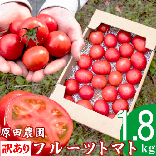 【12月下旬～5月頃発送】＜訳あり フルーツトマト 原田農園 約1.8kg 箱入＞ 桃太郎 家庭用 ワケあり 変形 キズあり 高知県 佐川町　＜当期分は毎年4月上旬頃まで申込受付＞ 1361604 - 高知県佐川町