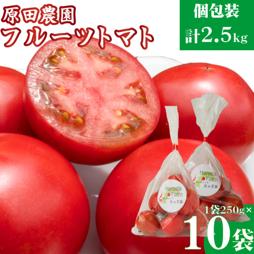 【12月下旬～5月頃発送】＜秀品 A品 フルーツトマト 原田農園 約2.5kg 個包装 1袋250g×10袋＞ 桃太郎 高知県 佐川町　＜当期分は毎年4月上旬頃まで申込受付＞ 1361660 - 高知県佐川町