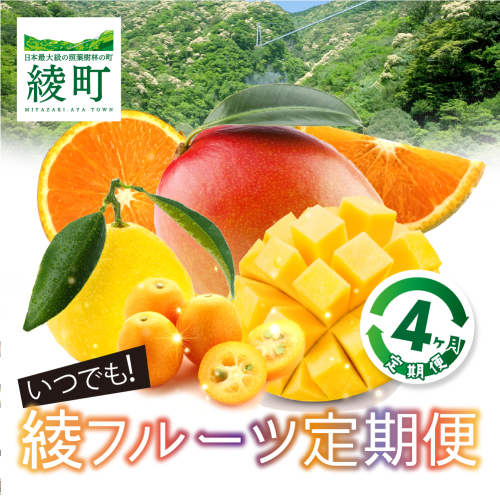 【4ヶ月定期便】JA綾町『いつでも綾フルーツ』レギュラーコース〈きんかん／日向夏／マンゴー／スイートスプリング〉 13623 - 宮崎県綾町