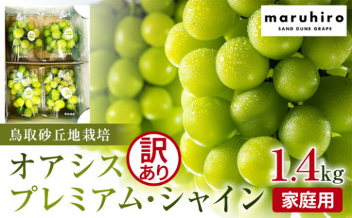 915.【先行予約】シャインマスカット 訳あり 家庭用 鳥取砂丘地産 1.4kg（350g×4パック） ※離島への配送不可 ※2025年8月下旬～10月下旬頃に順次発送予定【シャインマスカット マスカット 葡萄 ブドウ ぶどう 産地直送 フルーツ 果物 甘い 鳥取県 北栄町 おすすめ 人気】