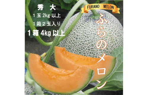 2026年夏発送【先行受付】 ふらのメロン 赤肉 秀大2玉［1玉2kg以上］計4kg以上 富良野メロン 赤肉 めろん 北海道 甘い 大きい 果物 フルーツ 1362728 - 北海道富良野市