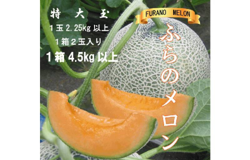 2026年夏発送【先行受付】 ふらのメロン 赤肉 特大玉2玉［1玉2.25kg以上］計4.5kg以上 富良野メロン 赤肉 めろん 北海道 甘い 大きい 果物 フルーツ 1362736 - 北海道富良野市