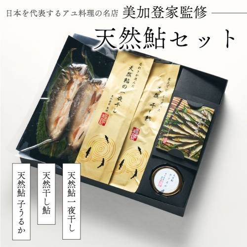 天然鮎 一夜干し 干し鮎 うるか セット美加登家監修 1363201 - 島根県邑南町