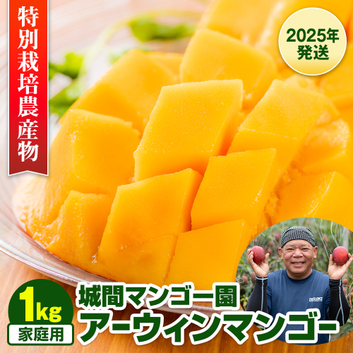 【2026年発送】城間マンゴー園　家庭用　アーウィンマンゴー1kg　特別栽培農産物 1363255 - 沖縄県南風原町
