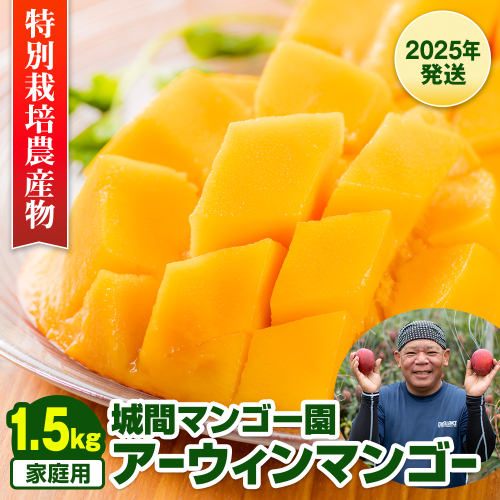 【2026年発送】城間マンゴー園　家庭用　アーウィンマンゴー1.5kg　特別栽培農産物 1363256 - 沖縄県南風原町