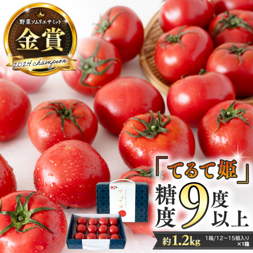 【9/30まで早期予約 特別寄附金額】 《 テレビで紹介 》 糖度9度以上 スーパーフルーツトマト てるて姫 中箱 約1.2kg × 1箱 【12〜15玉/1箱】 2026年収穫分 先行予約 フルーツトマト ブランドトマト 野菜 ギフト 贈答 青空レストラン アド街ック天国 グッドモーニング 黄金のワンスプーン[BC033sa] 1363932 - 茨城県桜川市
