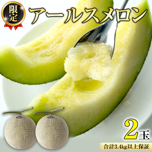【2025年8月下旬発送開始】 季節 限定 ！甘さ満点 アールスメロン 2玉 入箱 果物 フルーツ 農家直送 産直 青肉メロン 特産品 マスクメロン メロン くだもの 茨城 [BC045sa] 1363995 - 茨城県桜川市