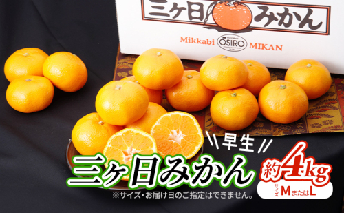 【2025年11月中旬より順次発送】 三ヶ日みかん 早生 4kg M～L 早生みかん みかん 蜜柑 ミカン 果物 くだもの 旬のフルーツ 旬の果物 季節のフルーツ 季節の果物 柑橘 柑橘類 静岡 静岡県 浜松市 1365805 - 静岡県浜松市