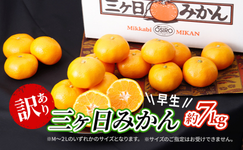 【2025年11月中旬より順次発送】 訳あり 三ヶ日みかん 早生 7kg 早生みかん みかん 蜜柑 ミカン 果物 くだもの 旬のフルーツ 旬の果物 季節のフルーツ 季節の果物 柑橘 柑橘類 訳アリ 静岡 静岡県 浜松市 1365809 - 静岡県浜松市