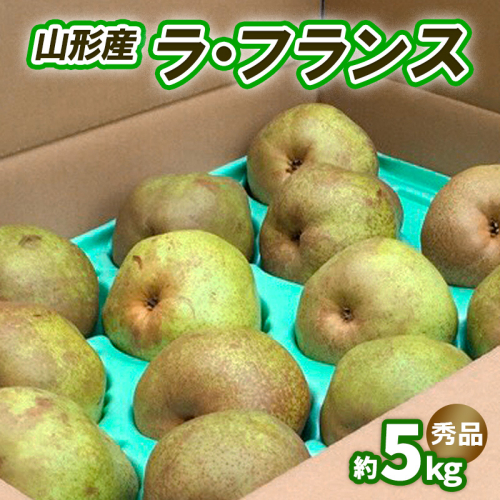 ラ・フランス 約5kg 秀品 (10～16玉) 3L～6L [11月発送] FY25-831 136815 - 山形県山形市