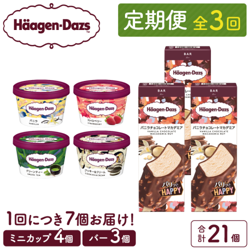 ＜全3回定期便・連続＞ハーゲンダッツ『ミニカップ＆バーセット(合計21個)』アイスクリーム アイス スイーツ デザート_H0026-030 1368414 - 北海道浜中町