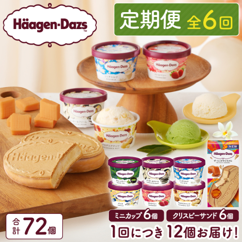 ＜全6回定期便・連続＞ハーゲンダッツ『ミニカップ＆クリスピーサンドセット(合計72個)』アイスクリーム アイス スイーツ デザート_H0026-042 1368554 - 北海道浜中町