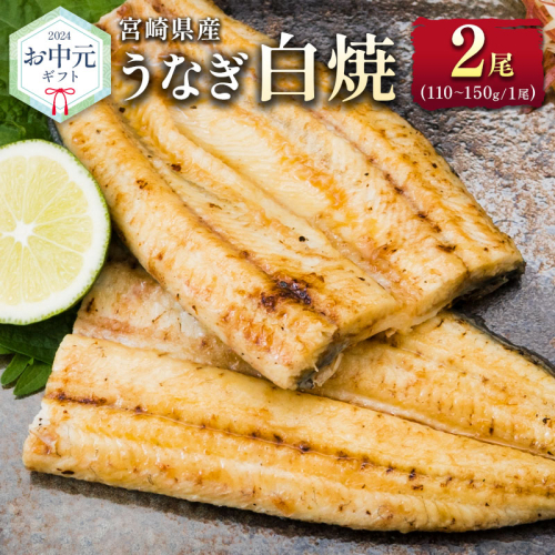 お中元対応「玄人の一品」うなぎ 白焼き ギフト 2尾（110～150g/1尾あたり）宮崎県産鰻 蒲焼きタレ付（50ml×1本）配送日指定可 国産 有頭 熨斗 贈答品【N63-25】 1368636 - 宮崎県新富町