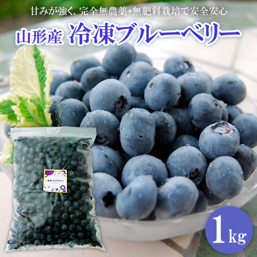 山形市産 冷凍ブルーベリー 1kg  FZ18-202 136867 - 山形県山形市