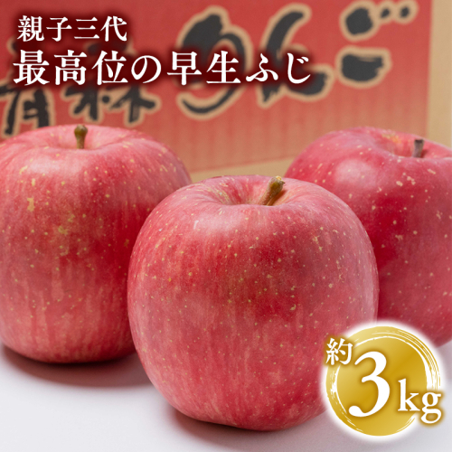 【10月発送】 親子三代最高位の早生ふじ 約3kg【全国ふじコンテスト最高賞受賞農園・平川市広船産りんご】 1368688 - 青森県平川市