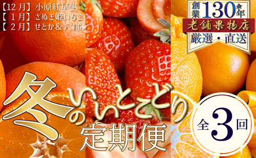 【全3回】冬のいいとこどり定期便（12・1・2月発送）  1369005 - 香川県綾川町