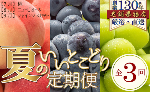 【全3回】夏のいいとこどり定期便（7・8・9月発送）  1369006 - 香川県綾川町