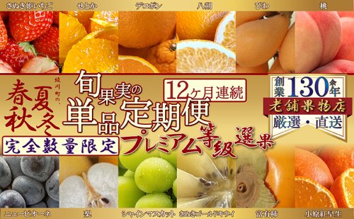 【12ヶ月連続定期便】<プレミアム等級選果>綾川町の春夏秋冬！旬果実の単品定期便  1369011 - 香川県綾川町