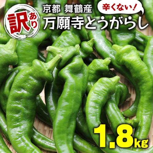 【5月中旬~11月下旬発送】 【訳あり】 万願寺 とうがらし 1.8kg ( 900g × 2箱 ) 辛くない 美味しい おいしい 肉厚 甘い 旬 採れたて 箱入り 伝統野菜 バーベキュー BBQ 野菜 夏野菜 農家 産地 直送 揚げ物 炒め物 煮物 万願寺とうがらし 唐辛子 規格外 京都 舞鶴 1369361 - 京都府舞鶴市