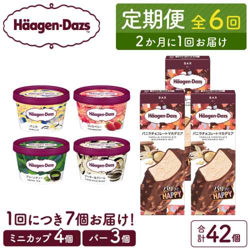 ＜全6回定期便・隔月＞ハーゲンダッツ『ミニカップ＆バーセット(合計42個)』アイスクリーム アイス スイーツ デザート_H0026-051 1369494 - 北海道浜中町