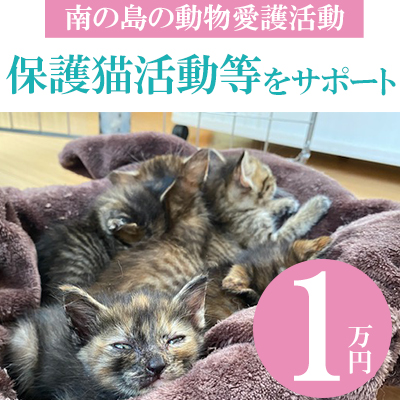 【南の島の動物愛護活動】保護猫活動等をサポート（1万円）
 136951 - 沖縄県八重瀬町