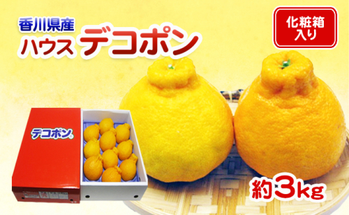 貯蔵デコポン 約3kg化粧箱入り 果物類 みかん 柑橘類 13700 - 香川県東かがわ市