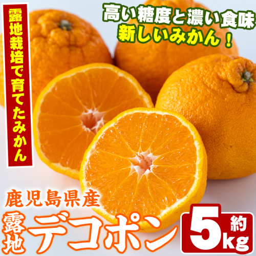 ＜先行予約受付中！2026年3月以降順次発送予定＞鹿児島県産！露地デコポン(約5kg・15～24玉) 果物 冬 春 柑橘 みかん 蜜柑 フルーツ 期間限定 数量限定【鹿児島いずみ農業協同組合】akn018-10 137070 - 鹿児島県阿久根市