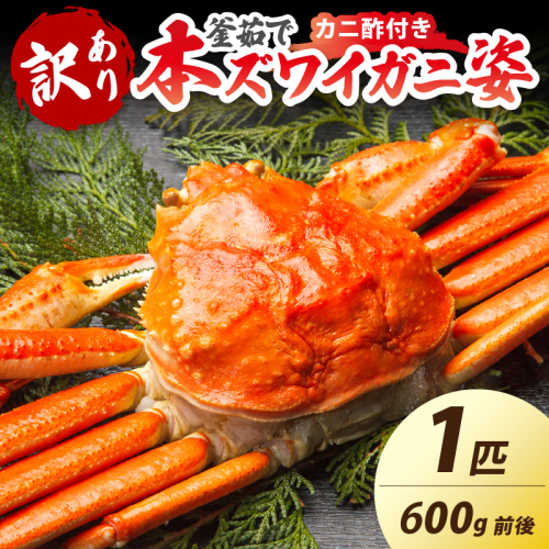 【大好評！カニ酢付き】訳あり！釜茹で！本ずわいがに姿 600g×1杯 1371627 - 京都府京丹後市