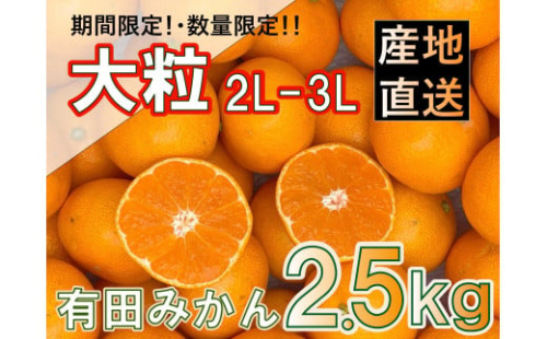 ［先行受付2025年］和歌山県産 有田みかん 大粒サイズ 2.5kg 1372615 - 和歌山県有田川町