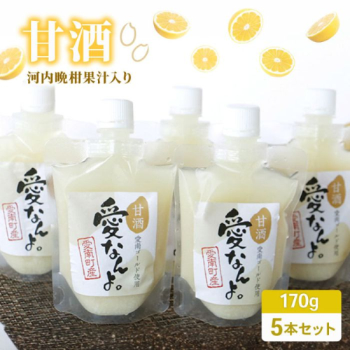 愛南ゴールド入り 甘酒 （170ｍｌ×5本） 7000円 あまざけ あま酒 愛南ゴールド 河内晩柑 米 パウチ 170ｍｌ 持ち運び 片手 手軽 夏バテ 冷え 冷え性 栄養 栄養補給 発酵食品 健康 アミノ酸 ビタミン 美容 美容効果  おいしい 爽やか スッキリ すっきり プレゼント 贈答 贈答用 ダイエット 美肌 美髪 便秘 疲労 愛なんよ 愛南 無添加 愛南町青果市場 1373113 - 愛媛県愛南町