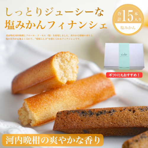 フィナンシェ 塩みかん 15本セット お菓子 焼き菓子 バレンタイン ホワイトデー 河内晩柑 愛南ゴールド バター入り 10個 スイーツ 詰め合わせ 贈答 プレゼント 贈り物 ギフト 個包装 crelo 愛媛県 愛南町 1373178 - 愛媛県愛南町