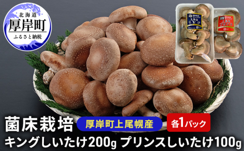 北海道産 厚岸町 上尾幌 菌床栽培 キングしいたけ プリンスしいたけ 各1パック  1373328 - 北海道厚岸町