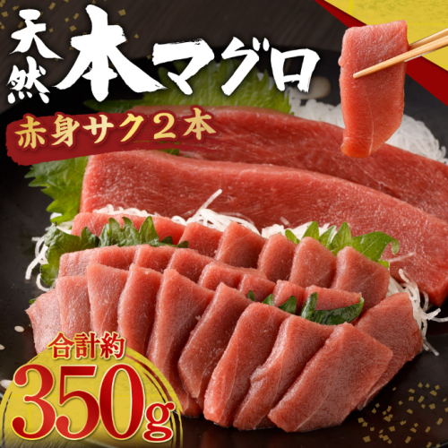 高豊丸 天然 本まぐろ 【 赤身 サク ２～３本 】 マグロ 鮪 まぐろ  本鮪 赤身 100% 冷凍 刺身 海鮮 丼 刺し身 パック 小分け 高知 室戸 137359 - 高知県室戸市