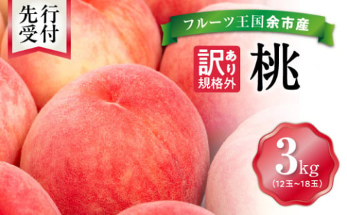 【先行予約：2026年8月中旬以降発送】フルーツ王国余市産「桃」規格外品3kg【ニトリ観光果樹園】