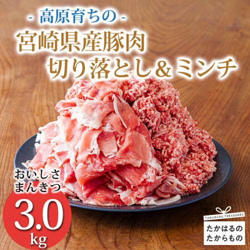 《寄付金10,000円で3kg！》国産 豚肉切り落とし＆豚肉ミンチ 大容量豚肉2種詰め合わせセット 合計3000g ワンストップオンライン対応 TF0766-P00070 1374706 - 宮崎県高原町