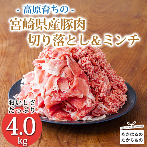 《寄付金14,000円で4kg！》国産 豚肉切り落とし＆豚肉ミンチ 大容量豚肉2種詰め合わせセット 合計4000g ワンストップオンライン対応 TF0767-P00070 1374707 - 宮崎県高原町