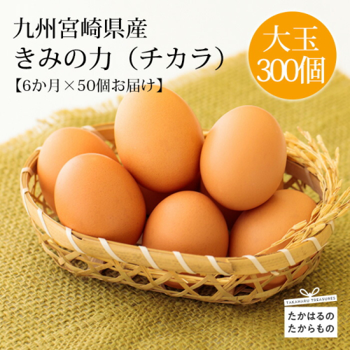 《赤たまごの定期便》年6回×大容量50個 計300個 宮崎県産きみの力(チカラ)Lサイズ赤卵  ミネラルたっぷりのカキガラや上質な飼料ですくすく育った鶏の卵は甘くておいしい逸品 [たまご 玉子 6ヶ月間 50000円 5万円 ワンストップオンライン 『おいしい特産品を詰め込んだ定期便特集』-宮崎県高原町] TF0448-P00035 1374821 - 宮崎県高原町