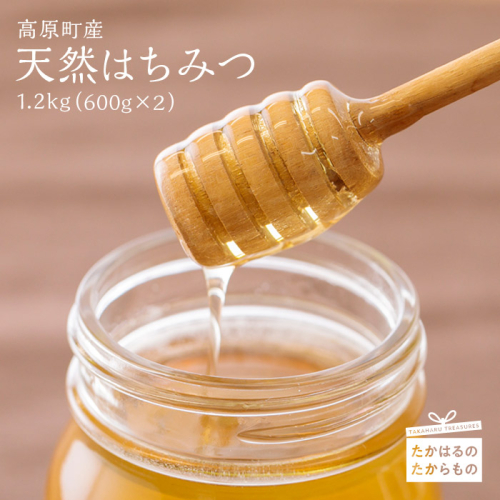 高原町産天然はちみつ 1.2kg(600g×2本) 国産のおいしい蜂蜜 ワンストップオンライン対応 TF0364-P00011 1374823 - 宮崎県高原町